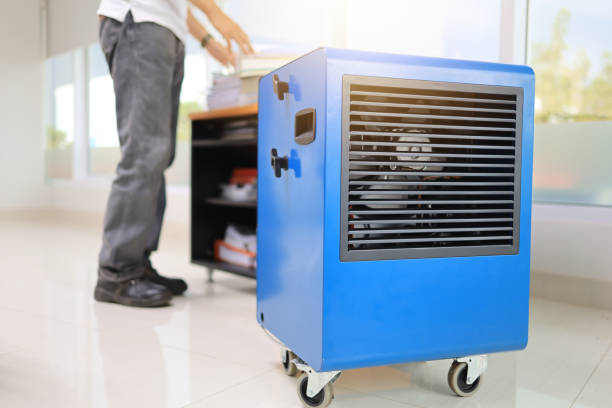 Best Dehumidification Services  in Catlettsburg, KY